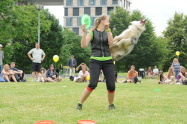 146.jpg