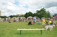 191.jpg