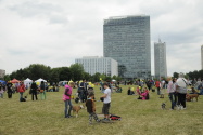 107.jpg