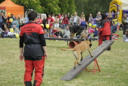 195.jpg