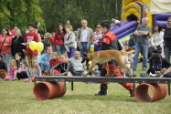 196.jpg