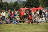 197.jpg