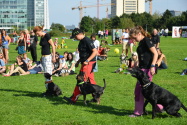 105.jpg