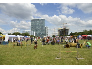 174.jpg