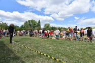 164.jpg