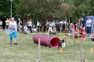 92.jpg