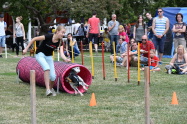 93.jpg