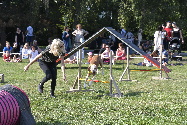 106.jpg