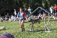 107.jpg