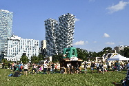 141.jpg