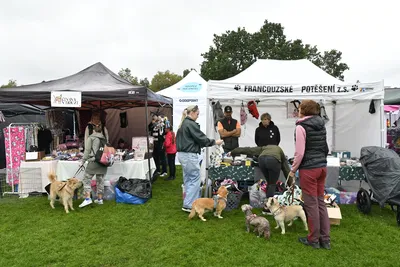 PesFest 2026, fotografie 10