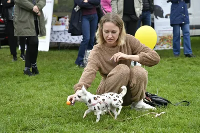 PesFest 2026, fotografie 101
