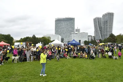 PesFest 2026, fotografie 102