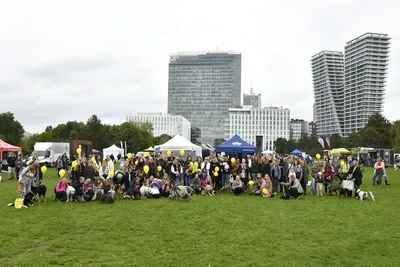 PesFest 2026, fotografie 103