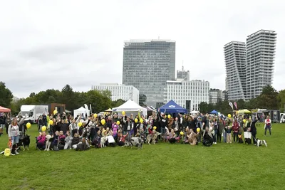 PesFest 2026, fotografie 104