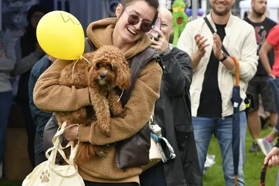 PesFest 2026, fotografie 108