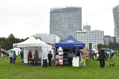 PesFest 2026, fotografie 2