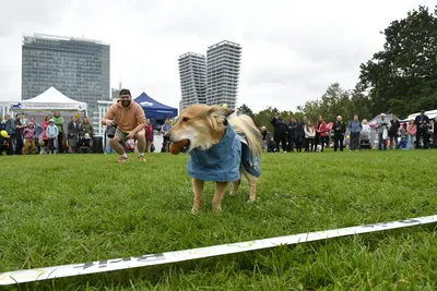 PesFest 2026, fotografie 22