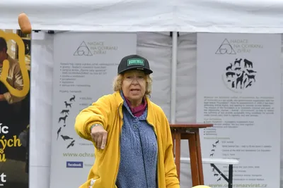 PesFest 2026, fotografie 24