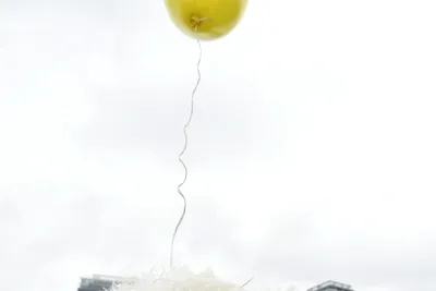 PesFest 2026, fotografie 26