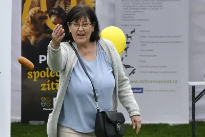 PesFest 2026, fotografie 28