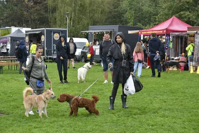 PesFest 2026, fotografie 3