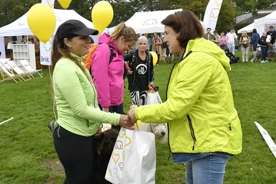 PesFest 2026, fotografie 33