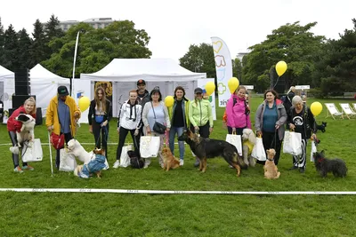 PesFest 2026, fotografie 34