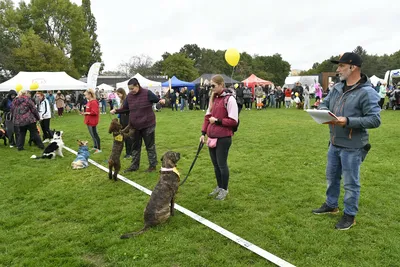 PesFest 2026, fotografie 35
