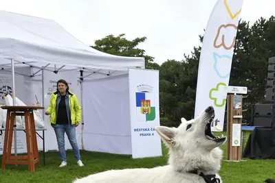 PesFest 2026, fotografie 39