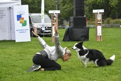 PesFest 2026, fotografie 42
