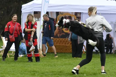 PesFest 2026, fotografie 45