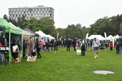 PesFest 2026, fotografie 48