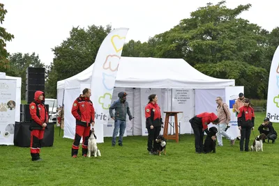PesFest 2026, fotografie 5