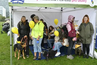 PesFest 2026, fotografie 53