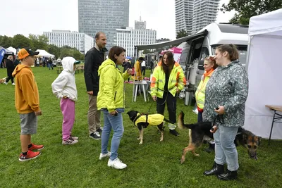 PesFest 2026, fotografie 57