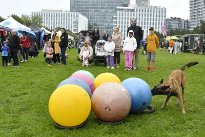 PesFest 2026, fotografie 59