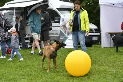 PesFest 2026, fotografie 64