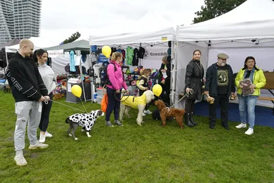 PesFest 2026, fotografie 68