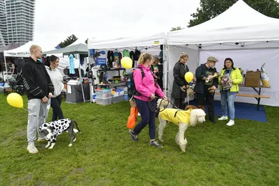 PesFest 2026, fotografie 69