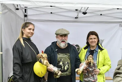 PesFest 2026, fotografie 70