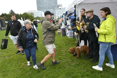 PesFest 2026, fotografie 72