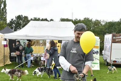 PesFest 2026, fotografie 77
