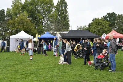 PesFest 2026, fotografie 78
