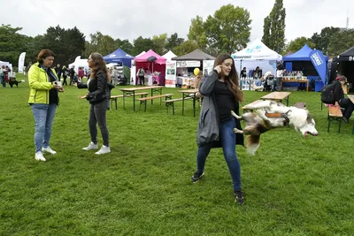 PesFest 2026, fotografie 81