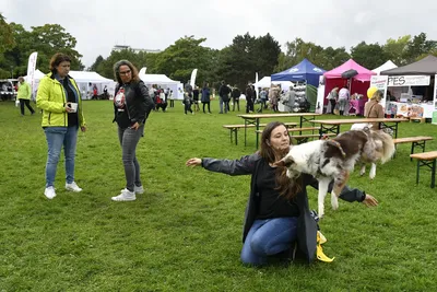 PesFest 2026, fotografie 82