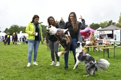 PesFest 2026, fotografie 84