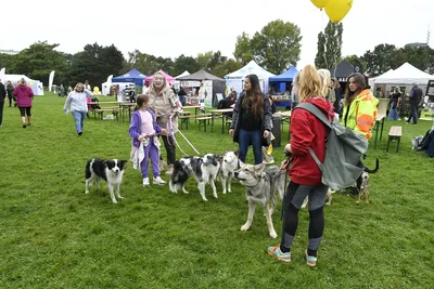 PesFest 2026, fotografie 88